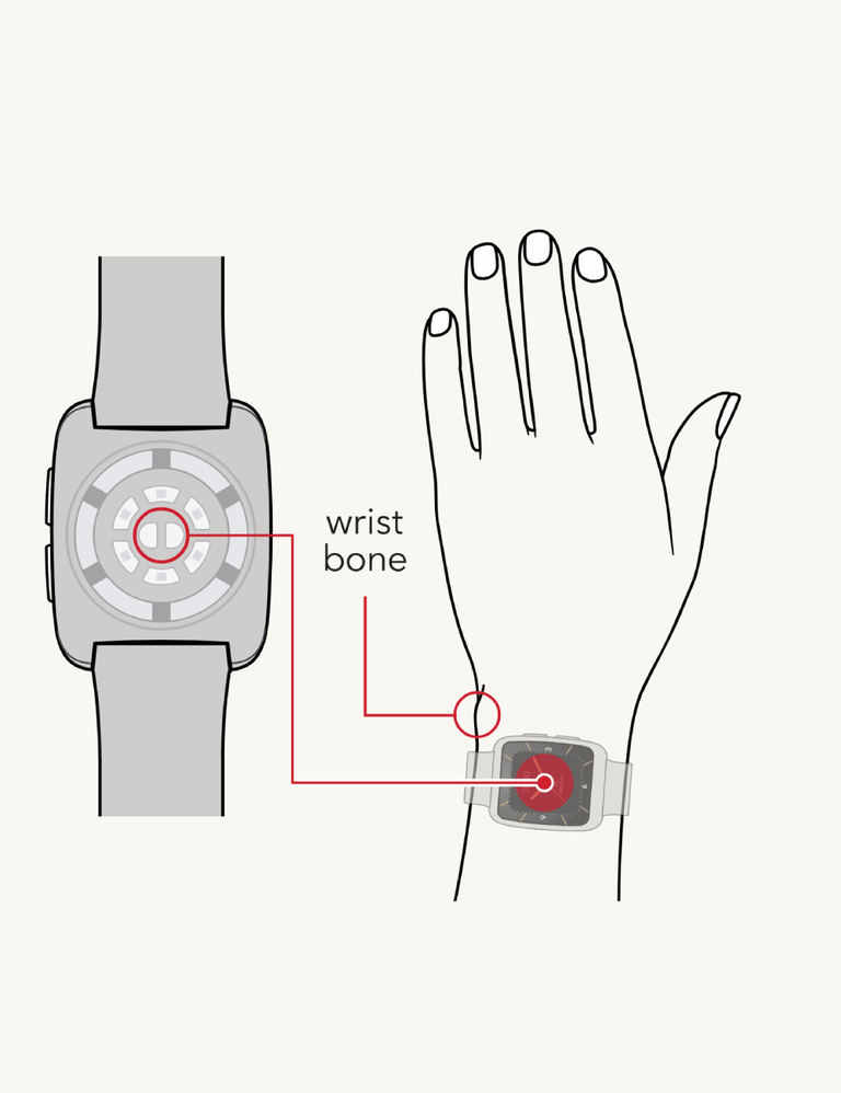 Step 1: Put on Your Watch